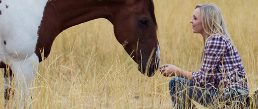 Grundkurs Horsemanship