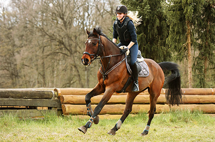 Reiterin auf Pferd beim Ausreiten auf einer Koppel